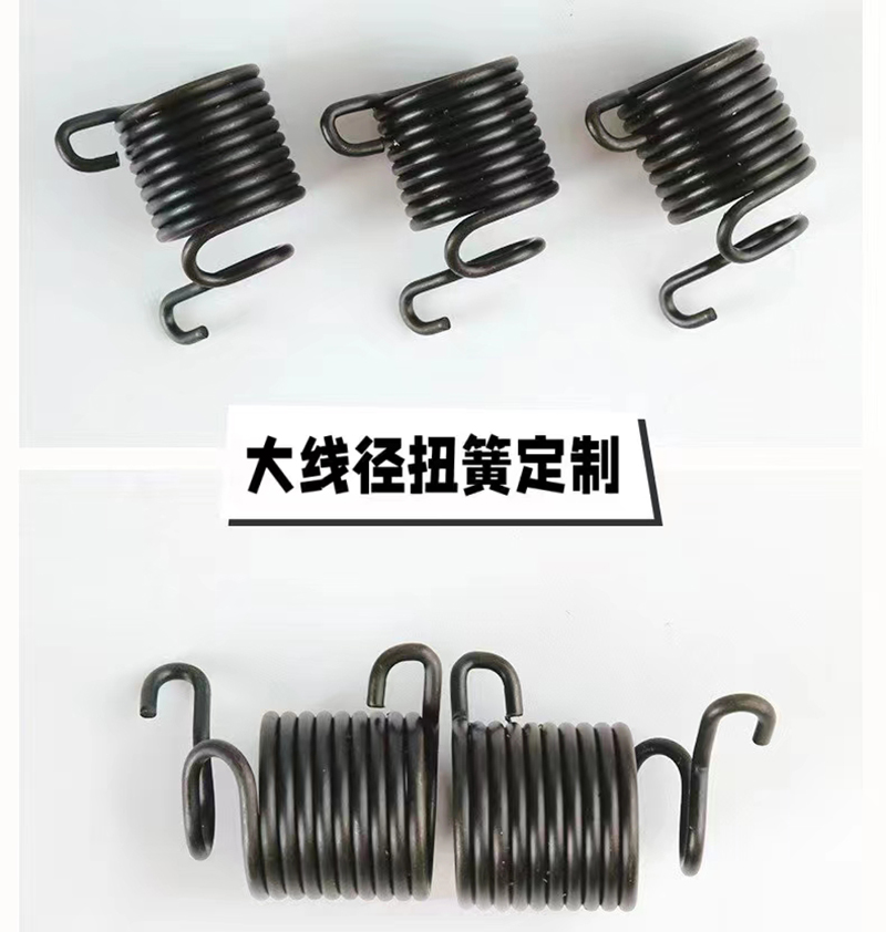 Torsion spring